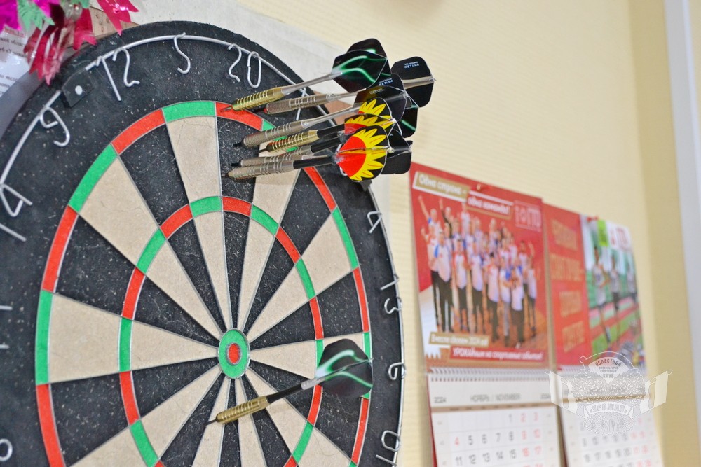 kubok_urozhaya-2024_darts_logo_4.jpg